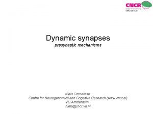 www cncr nl Dynamic synapses presynaptic mechanisms Niels