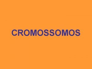 O que são cromossomos homologos