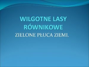 WILGOTNE LASY RWNIKOWE ZIELONE PUCA ZIEMI SPIS TRECI