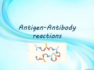 AntigenAntibody reactions Lets start The immune system The