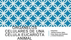 ORGANELOS CELULARES DE UNA CLULA EUCARIOTA ANIMAL Integrantes