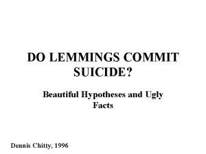 Do lemmings hibernate