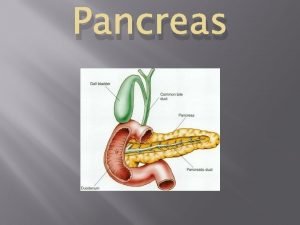 Pancreatic juice
