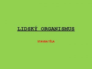 LIDSK ORGANISMUS STAVBA TLA Vukov materil zpracovan v