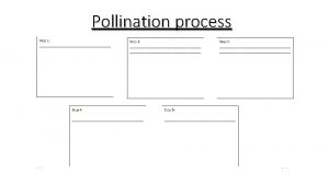 Pollination process Pollination process Pollination process An insect