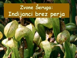 Zvone eruga Indijanci brez perja Mojca Pozvek prof