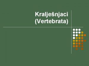 Kraljenjaci Vertebrata Sistematska podjela ivotinja 1 2 3