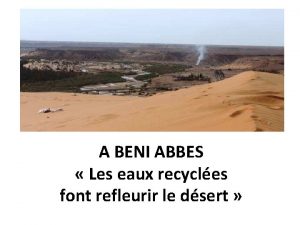 A BENI ABBES Les eaux recycles font refleurir