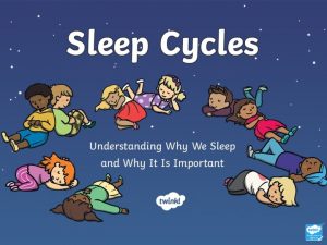 Why we need sleep