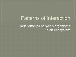 Patterns of Interaction Relationships between organisms in an