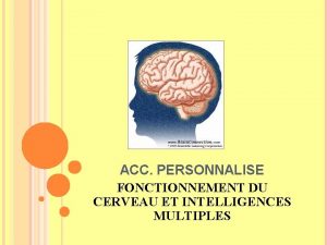 ACC PERSONNALISE FONCTIONNEMENT DU CERVEAU ET INTELLIGENCES MULTIPLES