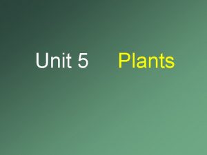 5 characteristics of plants.