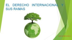 EL DERECHO INTERNACIONAL Y SUS RAMAS JAIME ANDRS