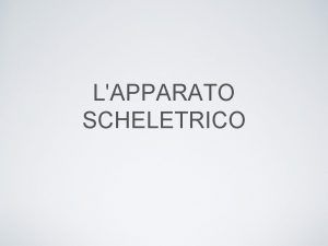 LAPPARATO SCHELETRICO LO SCHELETRO Lo scheletro limpalcatura di