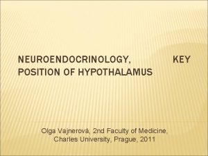 NEUROENDOCRINOLOGY POSITION OF HYPOTHALAMUS Olga Vajnerov 2 nd