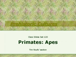 Prehistoric Cultures Class Slides Set 12 D Primates