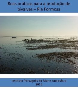 Boas prticas para a produo de bivalves Ria