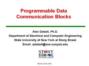 Programmable Data Communication Blocks Alex Doboli Ph D