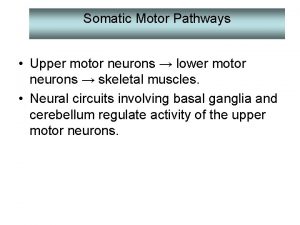Somatic Motor Pathways Upper motor neurons lower motor