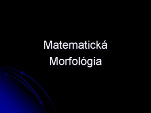 Matematick Morfolgia Matematick morfolgia forma tvar slovo slov