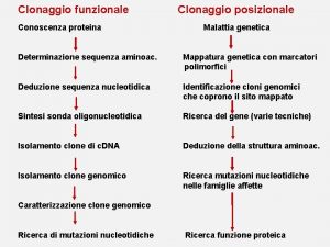 Clonaggio funzionale Conoscenza proteina Clonaggio posizionale Malattia genetica