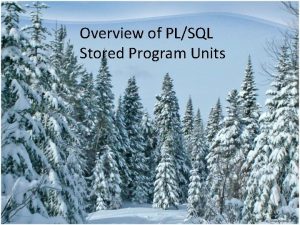 Overview of PLSQL Stored Program Units Selfcontained group