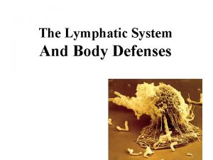 The Lymphatic System And Body Defenses The Lymphatic