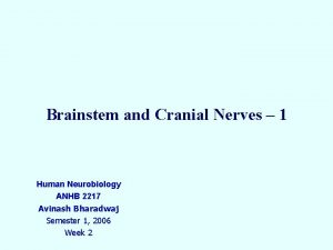 Brainstem and Cranial Nerves 1 Human Neurobiology ANHB