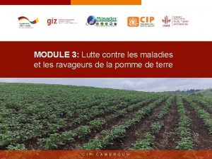 MODULE 3 Lutte contre les maladies et les