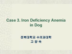 Case 3 Iron Deficiency Anemia in Dog fecal