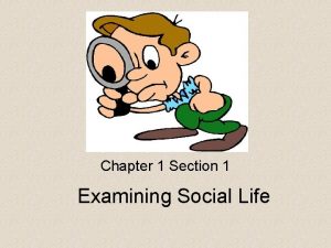 Examining social life practice