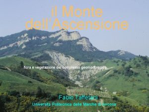 il Monte dellAscensione flora e vegetazione del complesso