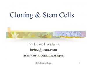 Cloning Stem Cells Dr Heinz Lycklama heinzosta com