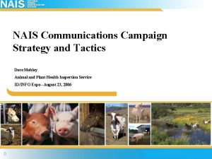 NAIS Communications Campaign Strategy and Tactics Dore Mobley