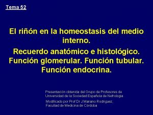 Tema 52 El rin en la homeostasis del