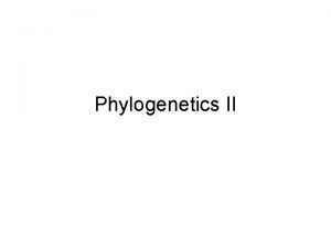 Phylogenetics II Characterbased methods for constructing phylogenies In