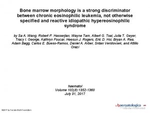Bone marrow morphology