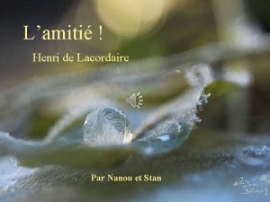 Lamiti Henri de Lacordaire Par Nanou et Stan