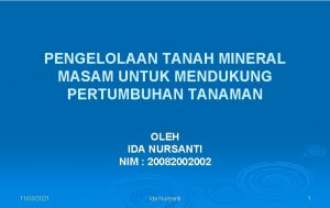 PENGELOLAAN TANAH MINERAL MASAM UNTUK MENDUKUNG PERTUMBUHAN TANAMAN