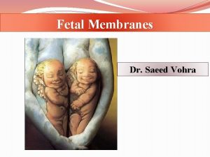 Fetal Membranes Dr Saeed Vohra OBJECTIVES By the