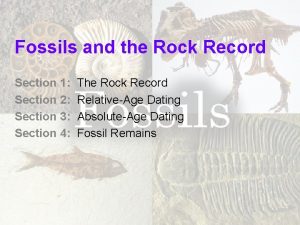 Index fossils science definition