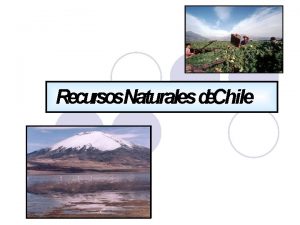 Qué significa los recursos naturales Qué significa los recursos naturales