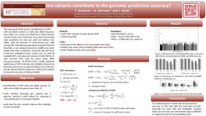 Do rare variants contribute to the genomic prediction