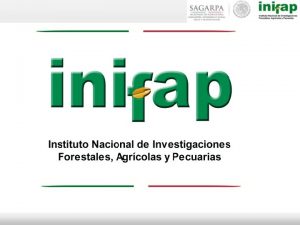 Inifap oaxaca