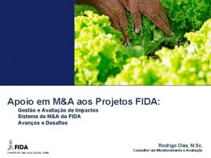 Apoio em MA aos Projetos FIDA Gesto e