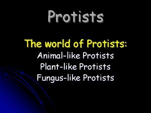 Protists The world of Protists Animallike Protists Plantlike