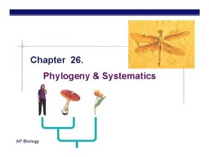 Chapter 26 Phylogeny Systematics AP Biology Copyright 2005