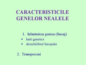 Inlantuirea