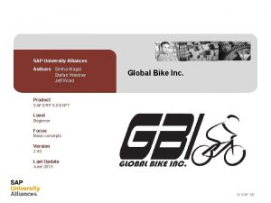 Global bike sap