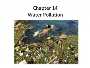 Chapter 14 Water Pollution The Chesapeake Bay Largest